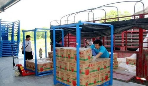 永州嘉信冷鏈倉儲物流中心正式開業(yè)，助推區(qū)域物流體系升級